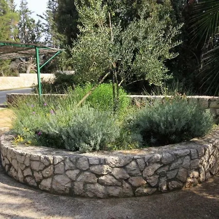 With A Parking Space Muline Ugljan